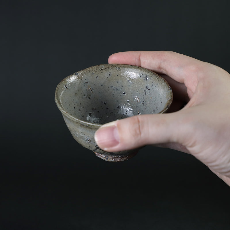 Munehiko Maruta picture Karatsu sake cup