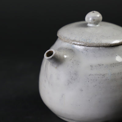Madara Karatsu Teapot No.21 by Masahiro Takehana