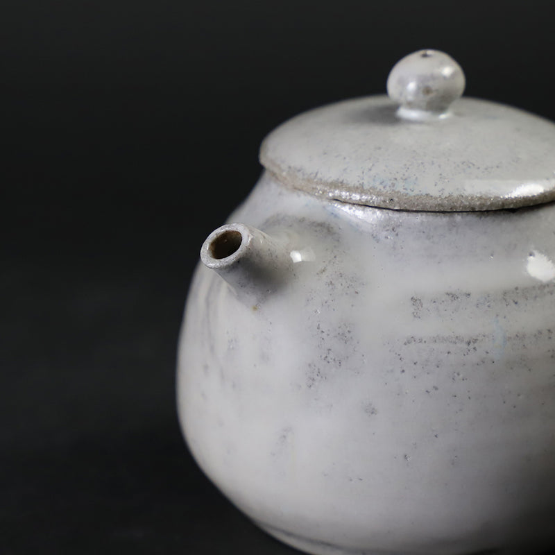 Madara Karatsu Teapot No.21 by Masahiro Takehana