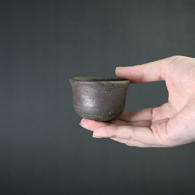 Takashi Nakazato Karatsu Nanban sake cup