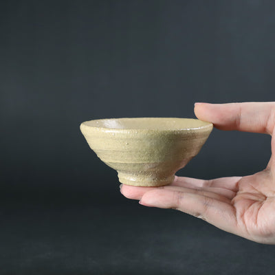 Naoto Yano's work Ido Guinou No.50