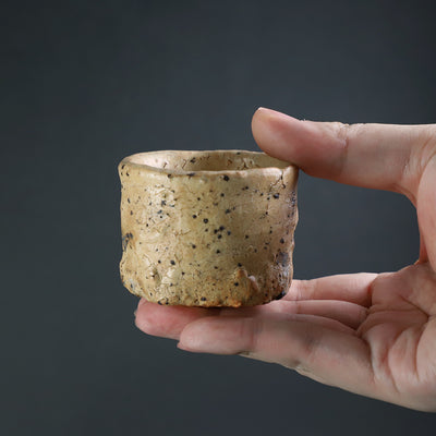 Karatsu Sake No.13 by Yu Maruta