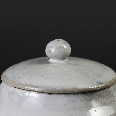 Madara Karatsu Teapot No.21 by Masahiro Takehana