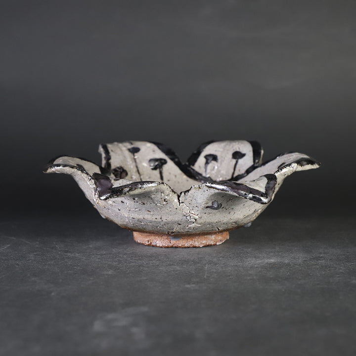 丸田雄 唐津盃 平盃 丸田雄 唐津盃 平盃 【公式通販】