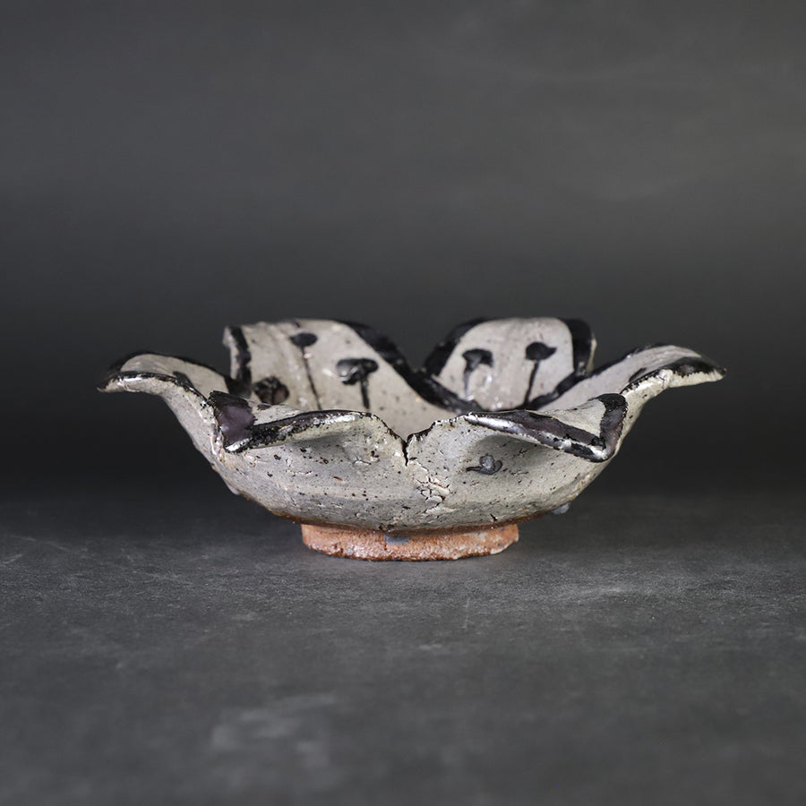 唐津焼 丸田雄｜作家紹介｜“唐津 赤”に挑む革新の造形美 – ギャラリー