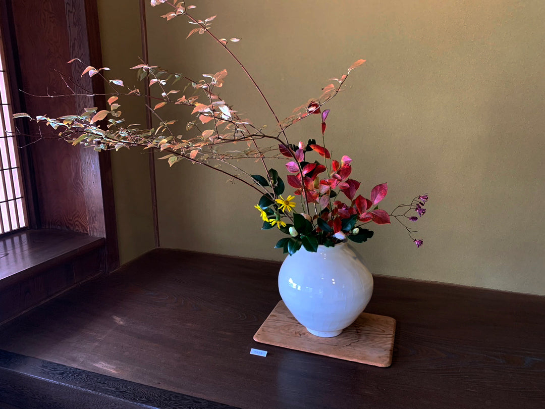 MAYUYAMA ONLINE COLLECTION | 白釉搔落牡丹唐花文広口壺