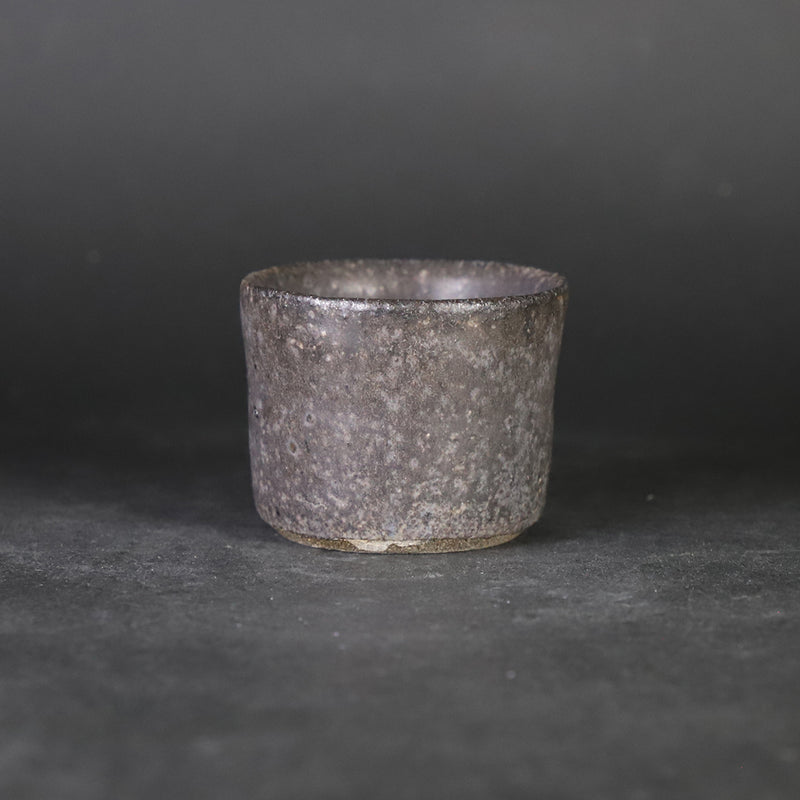 Yasumoto Kajiwara&