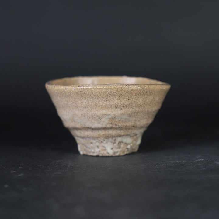 陶芸家　武末日臣　井戸　杯　盃　ぐい呑　酒器　平盃　梅花皮　共箱　李朝　唐津 陶芸家武末日臣井戸杯盃ぐい呑酒器平盃梅花皮共箱李朝唐津
