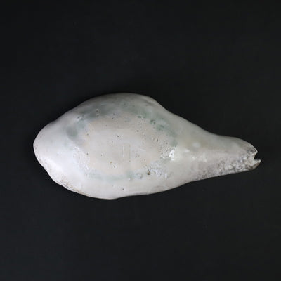 Yasumoto Kajiwara's work, Tousai Renge No.9