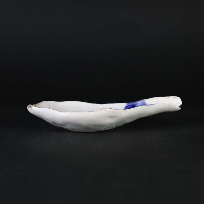 Yasumoto Kajiwara&