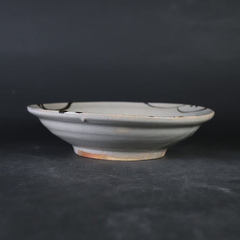 秋田菫　作　絵唐津浅鉢1
