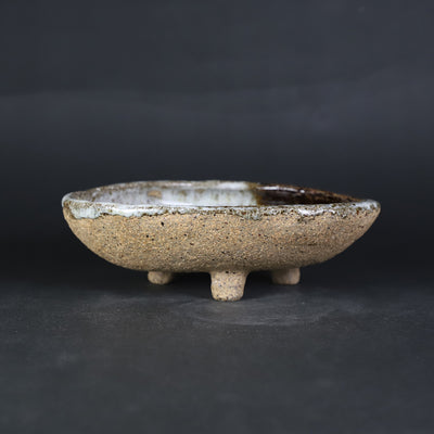 福田和祐　作　朝鮮唐津鮑向付