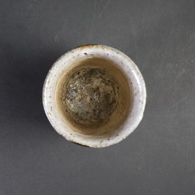 Kobiki Karatsu Tea Cup by Munehiko Maruta