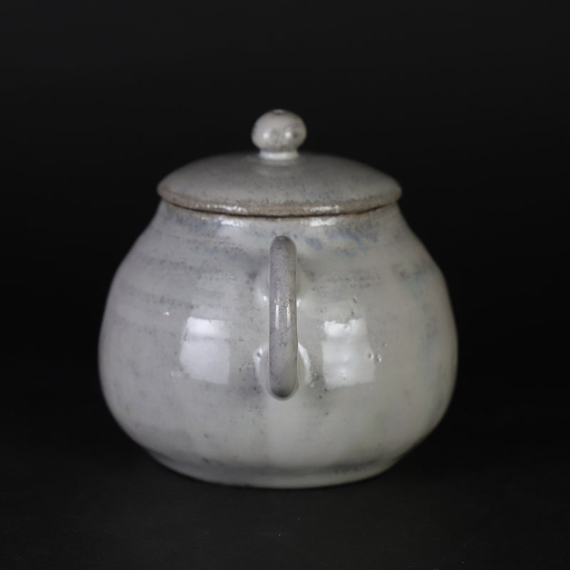 Madara Karatsu Teapot No.21 by Masahiro Takehana