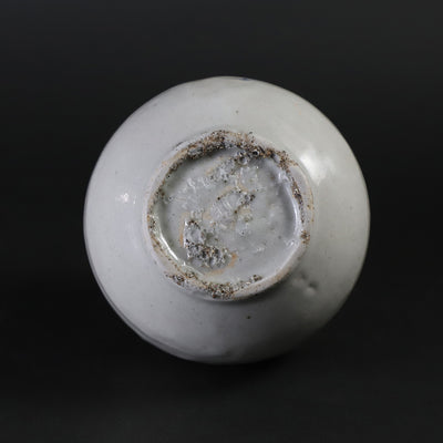 Maruta Soichi Gallery Blue and white sake bottle 2