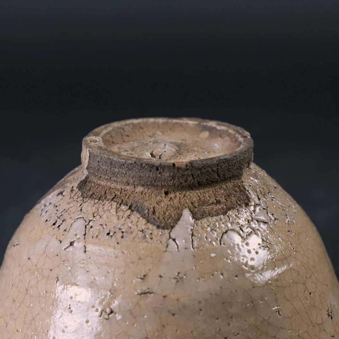 5_0ac2761d-8e96-483a-b9a0-