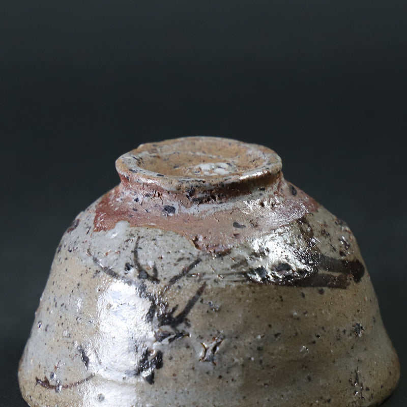 Munehiko Maruta picture Karatsu sake cup