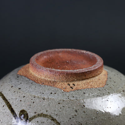 Nakazato Tarouemon Kiln Painted Karatsu Bowl