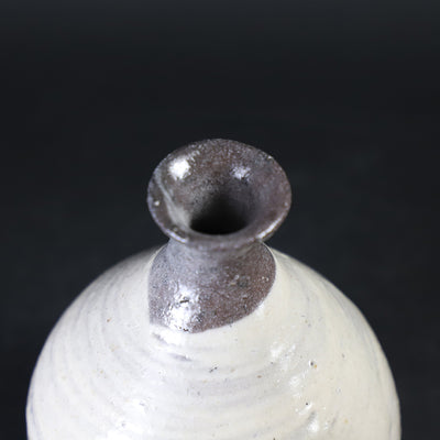 Naoto Yano's Brushed Tokkuri No.6
