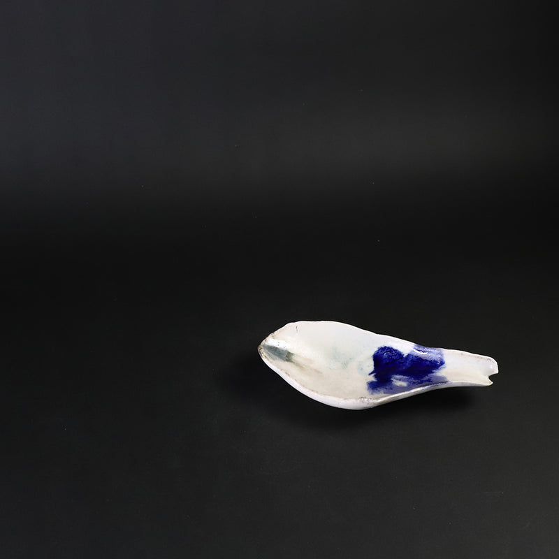 Yasumoto Kajiwara&