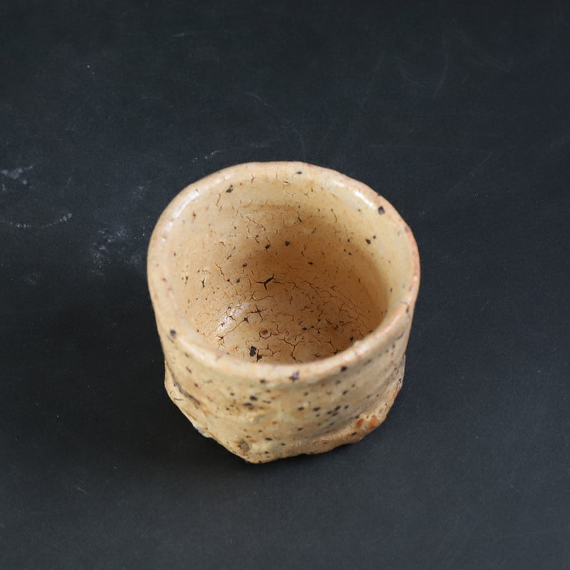 Karatsu Sake No.13 by Yu Maruta