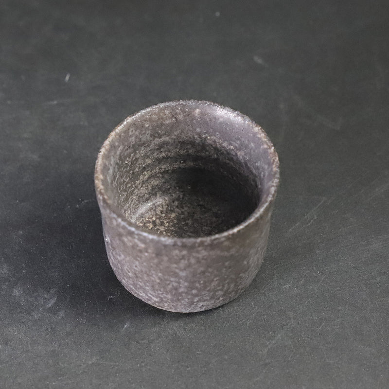 Yasumoto Kajiwara&