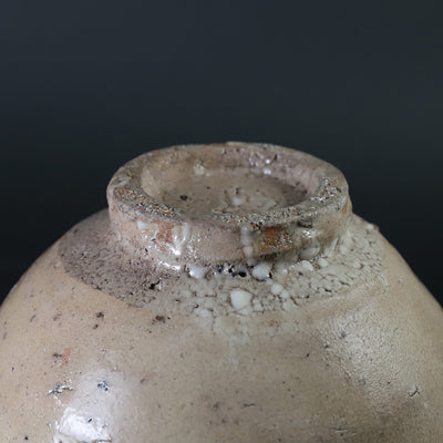 Karatsu Ido tea bowl by Munehiko Maruta