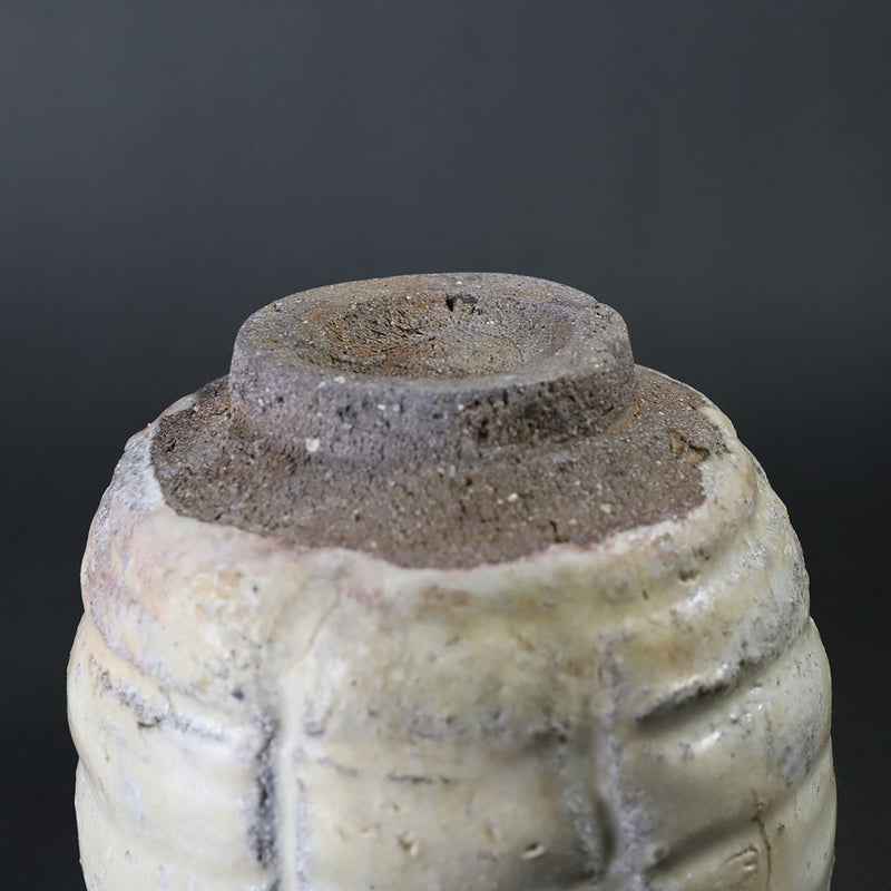 Maruta Munehiko Mottled Karatsu Chawan