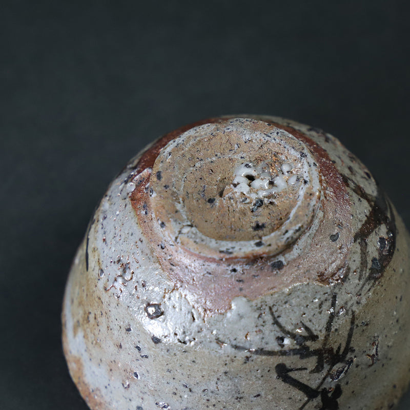 Munehiko Maruta picture Karatsu sake cup
