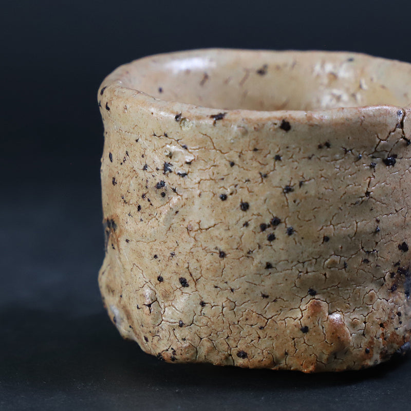 Karatsu Sake No.13 by Yu Maruta