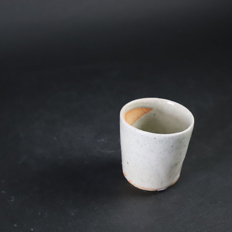 Yasumoto Kajiwara&