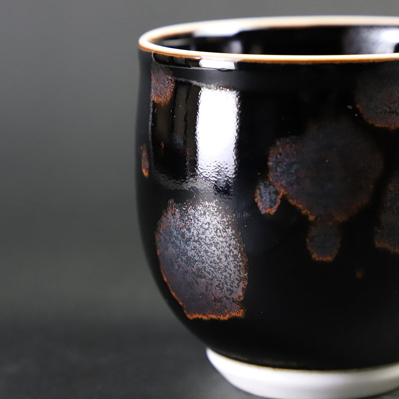 Yuki Inoue Tenmoku Silver Drop Mug Cup