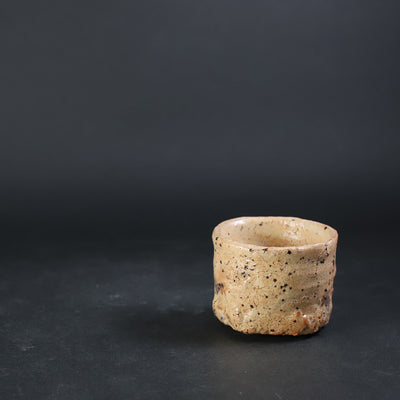 Karatsu Sake No.13 by Yu Maruta