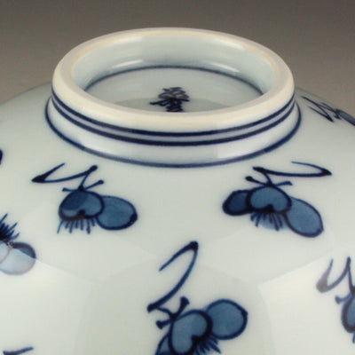 Gen-emon Kiln Dyed Plum Blossom Rice Bowl