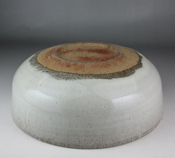 Nakazato Taroemon Kiln Karatsu bowl (spot)