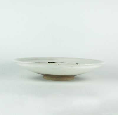 Nakazato Taroemon Kiln Two-color plate