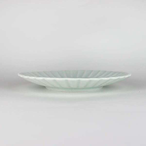 224porcelain 2245 Kikyo 5 sun plate (white porcelain)
