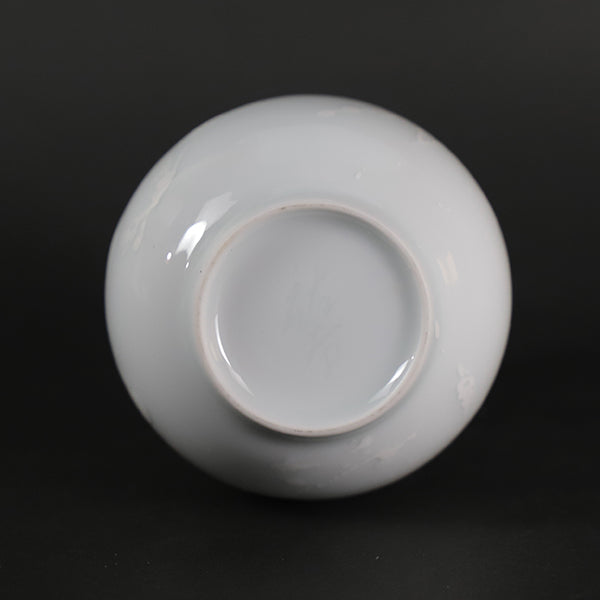 Yuki Inoue white porcelain glaze dripping sake bottle