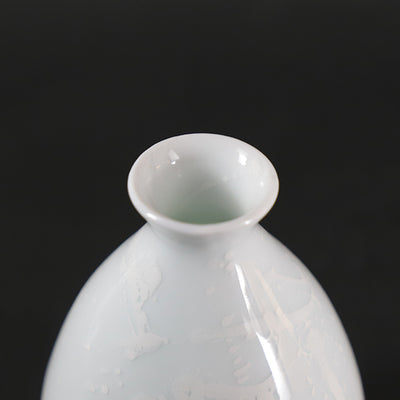 Yuki Inoue white porcelain glaze dripping sake bottle