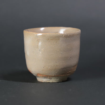 Masahiro Takehana's Karatsu sake cup