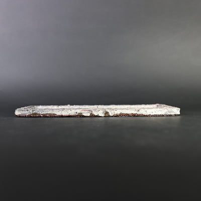 Kōta Tanaka's powdered long plate