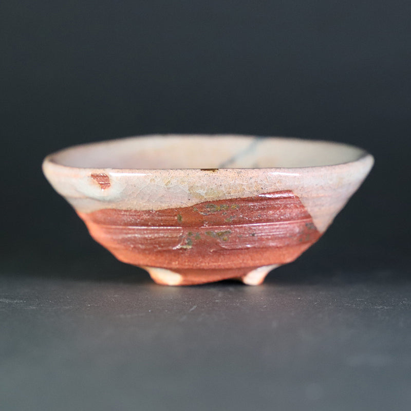 Sakurei Okamoto picture Karatsu sake cup