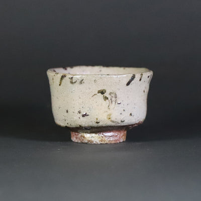 Munehiko Maruta picture Karatsu sake cup