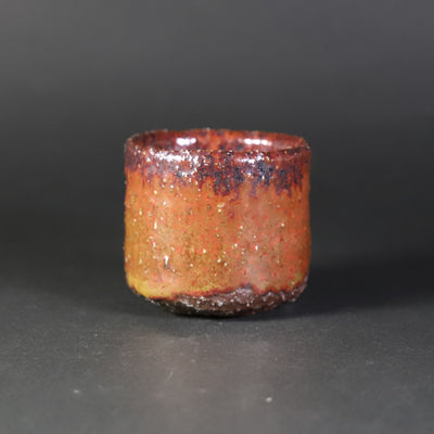 Kota Tanaka's Scarlet Sake Cup 2