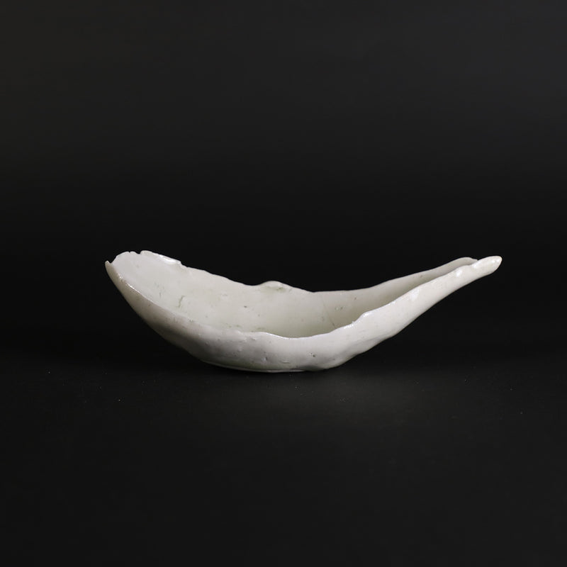 White lotus by Yasumoto Kajiwara