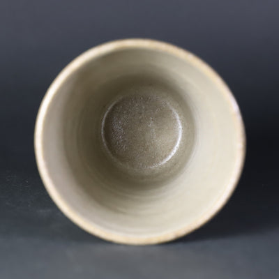 Chiharu Kumamoto picture Karatsu beer cup