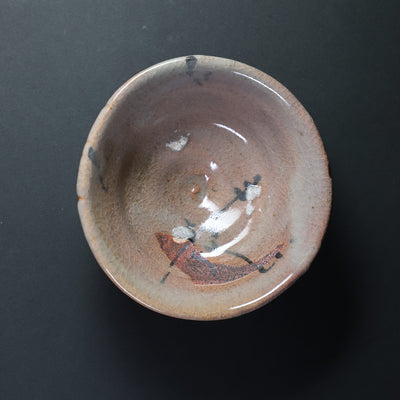 Sakurei Okamoto picture Karatsu sake cup