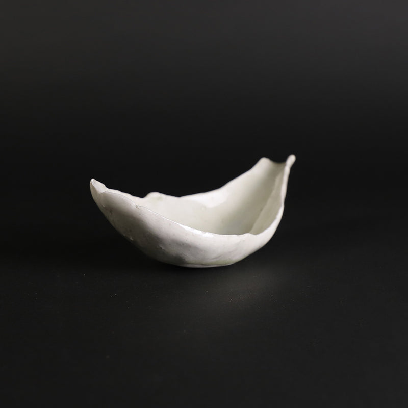 White lotus by Yasumoto Kajiwara