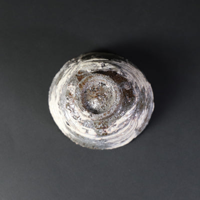 Kouta Tanaka's brushed sake cup 2