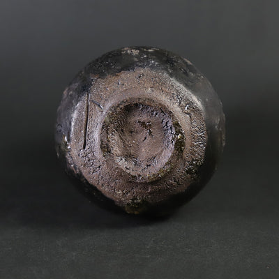 Yoshihisa Ishii, Korean Karatsu Gourd